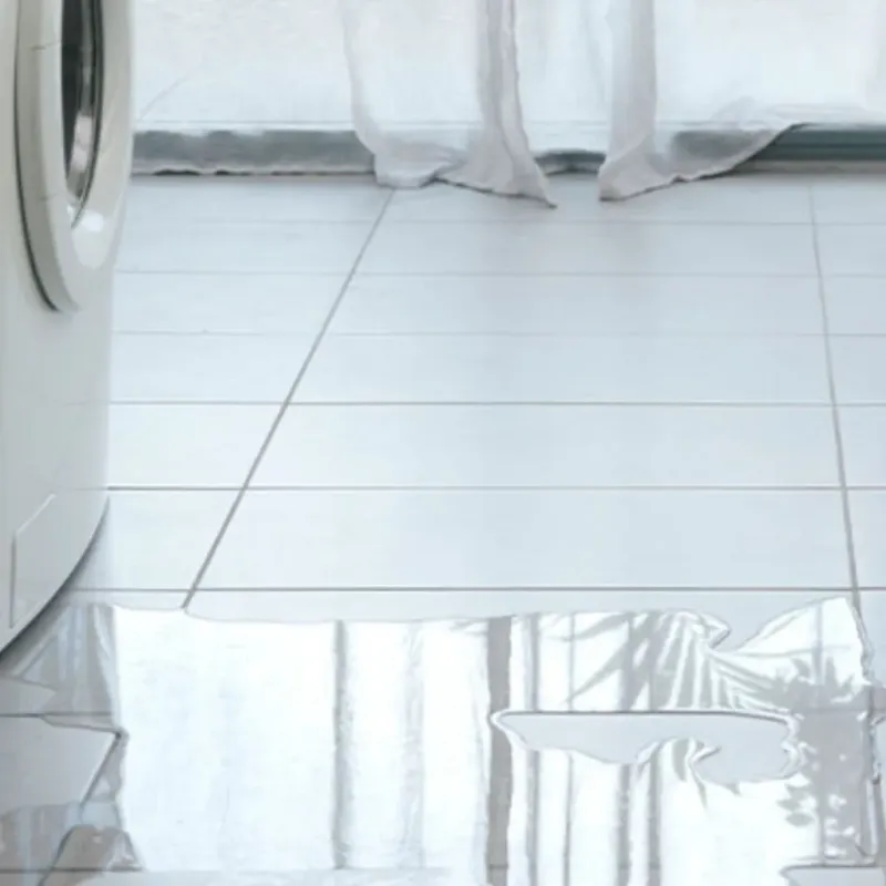 Appliance Leak Cleanup in Harristown, IL