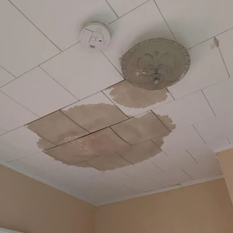Ceiling Water Damage Repair in Harristown, IL