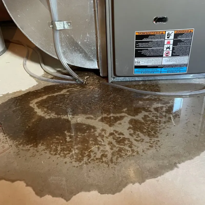 Pipe Burst and Leak Restoration in Harristown, IL