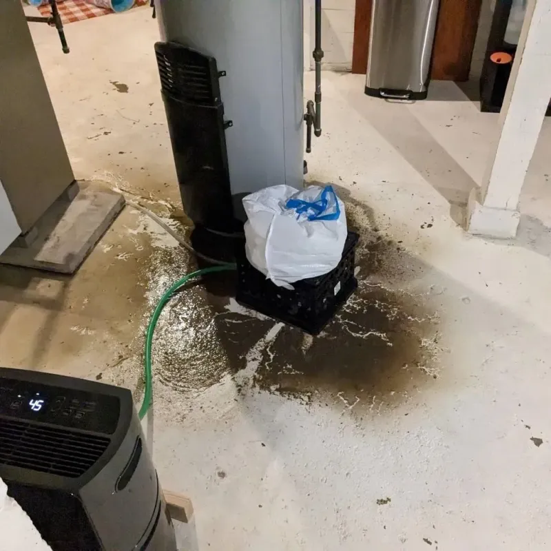 Sewage Backup Cleanup Service in Harristown, IL